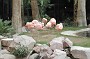 Z_010036