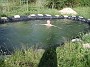 5_P1010041