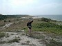 3_P1010058