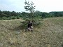 3_P1010059