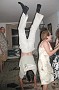 P7290032