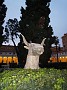 IMG_2008_11_15_12_04_29
