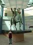 IMG_2008_11_16_06_24_11