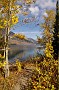 IMG_2008_09_27_11_41_39