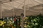 IMG_5193