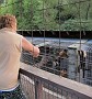 IMG_1332