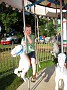 IMG_0961