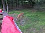 IMG_0989