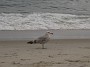 IMG_3045