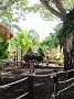 IMG_1505