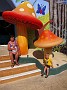 IMG_1508