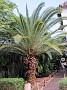 IMG_1528