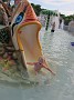 IMG_1539