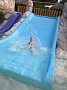 IMG_1547