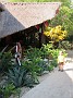 IMG_1589