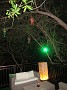 IMG_1701