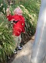 IMG_1949