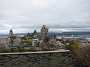 IMG_1804
