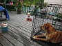 DSCN0330
