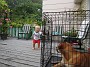 DSCN0331