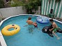 DSCN0336