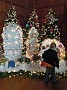 DSCN9951