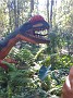 IMAG0057
