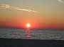 IMG_0815
