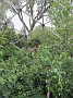 IMG_0089