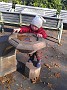 IMAG0046