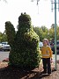 DSCN9424