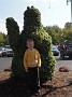 DSCN9427