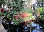IMG_2594