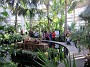 IMG_2599