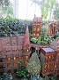 IMG_2606