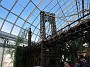 IMG_2611