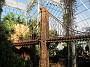 IMG_2637