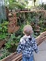 IMG_2641