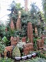 IMG_2657