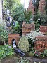 IMG_2659