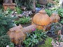 IMG_2666