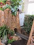 IMG_2684