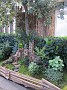 IMG_2691