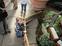 IMG_2720
