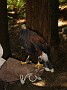 DSC09190