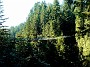 DSC09194