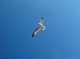 DSC09200