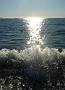 DSC09204