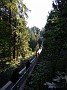 DSCN0765