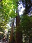 DSCN0768